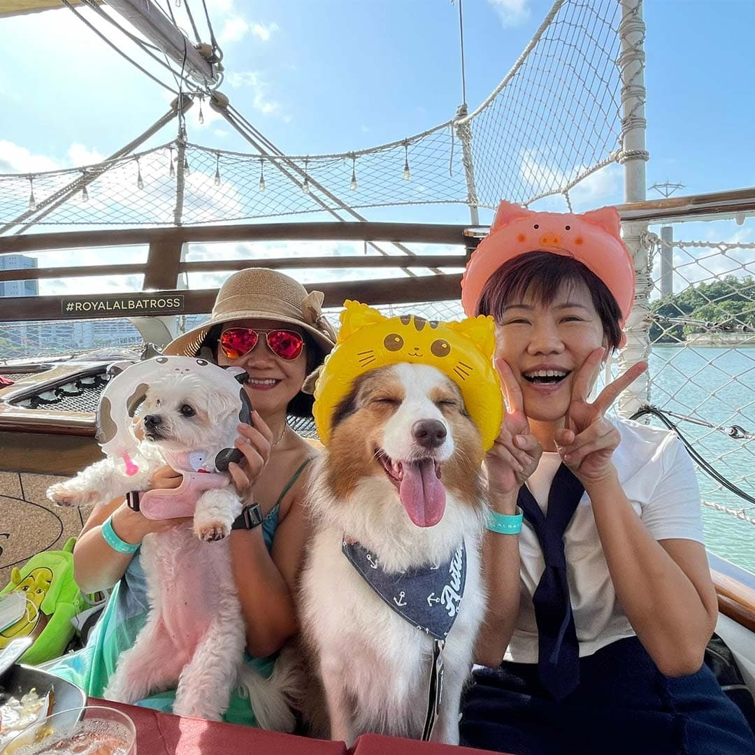 Happy Barkday Package