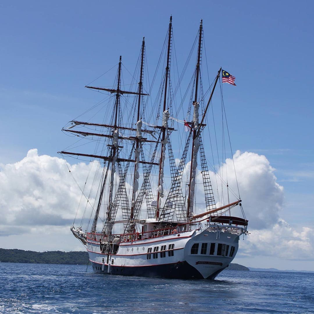 Royal Albatross Gift Card