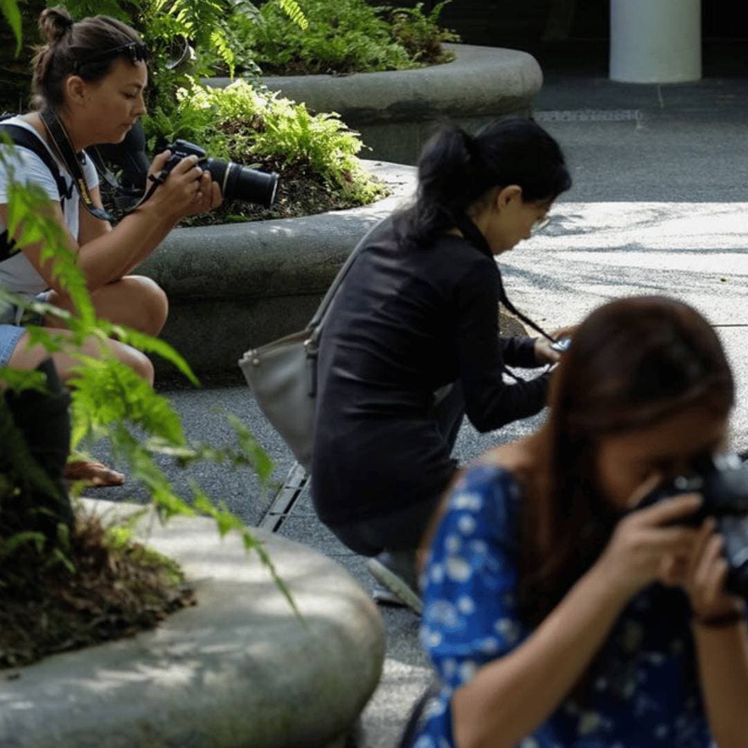 Essential Foundation: Five 2-hour Sessions