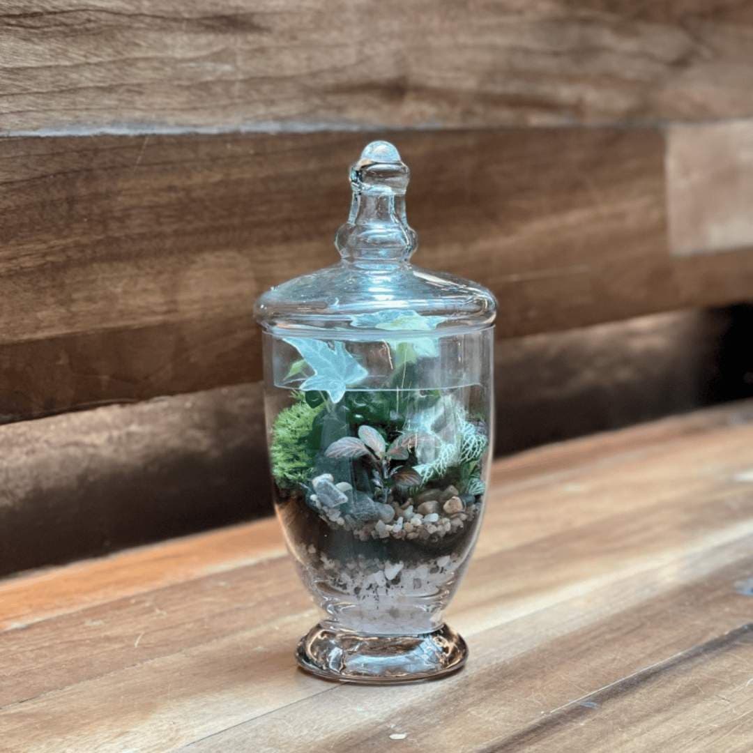Close Terrarium Workshop