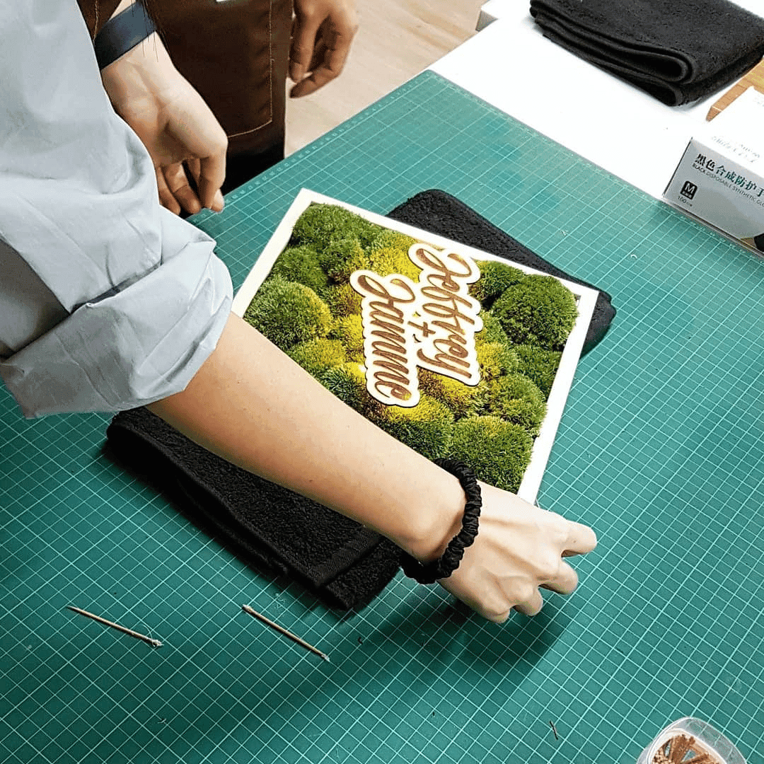 Preserved Nature Workshop (Big Frame)