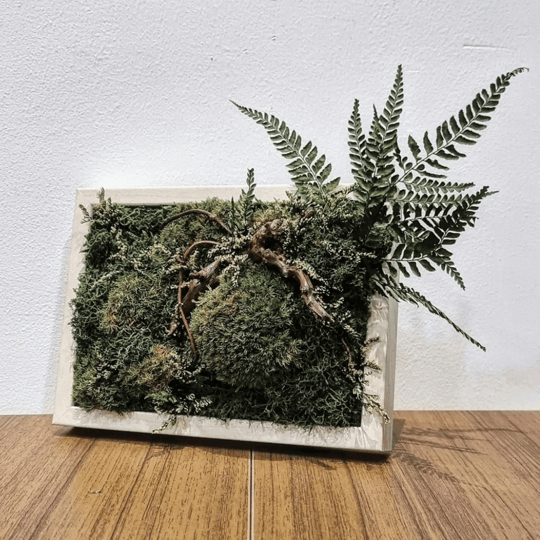 Preserved Nature Workshop (Small Frame)