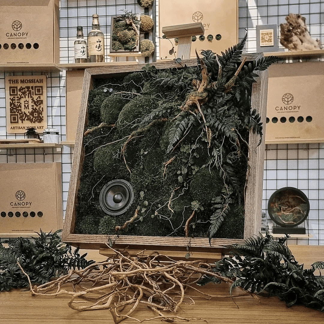 Preserved Nature Workshop (Big Frame)