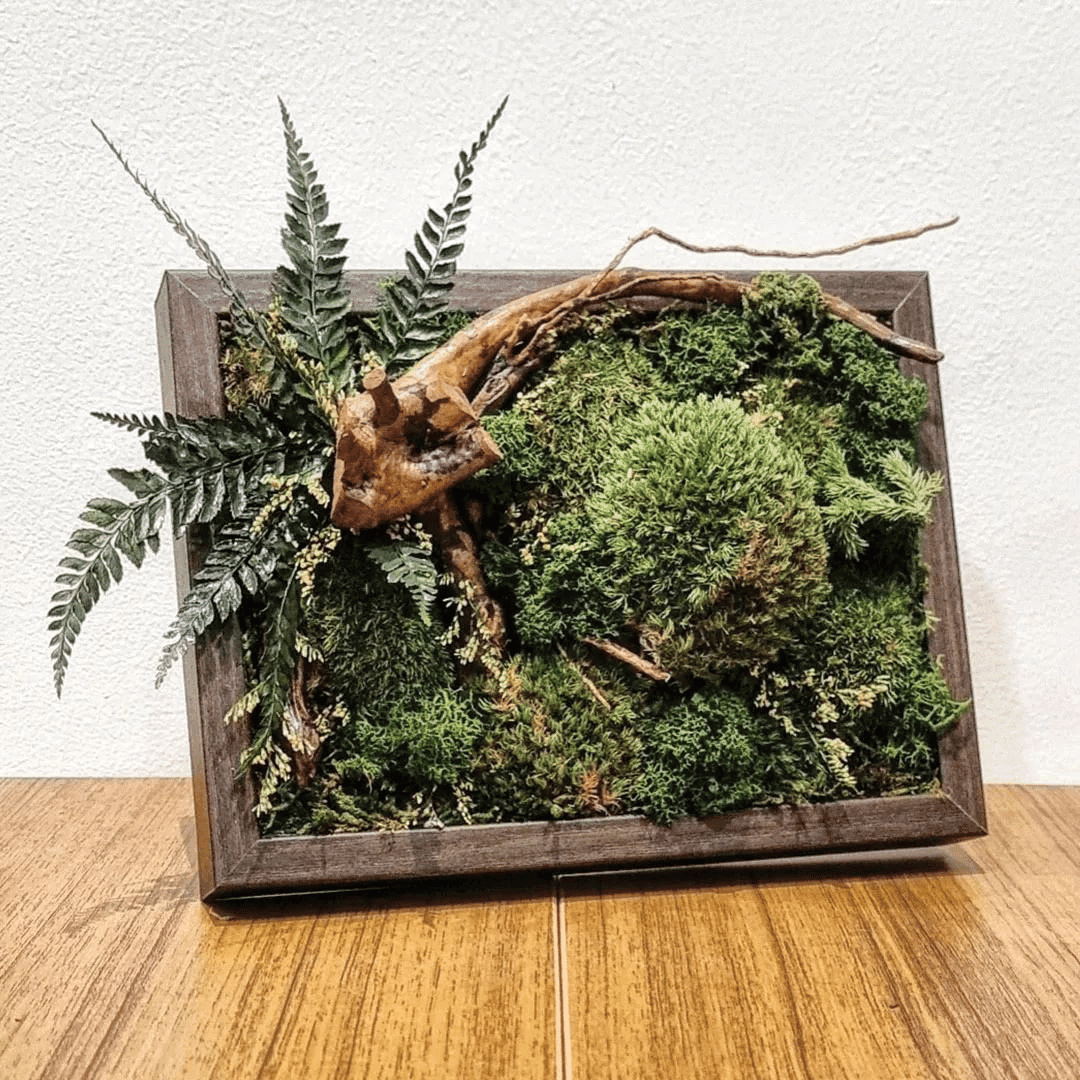 Preserved Nature Workshop (Small Frame)