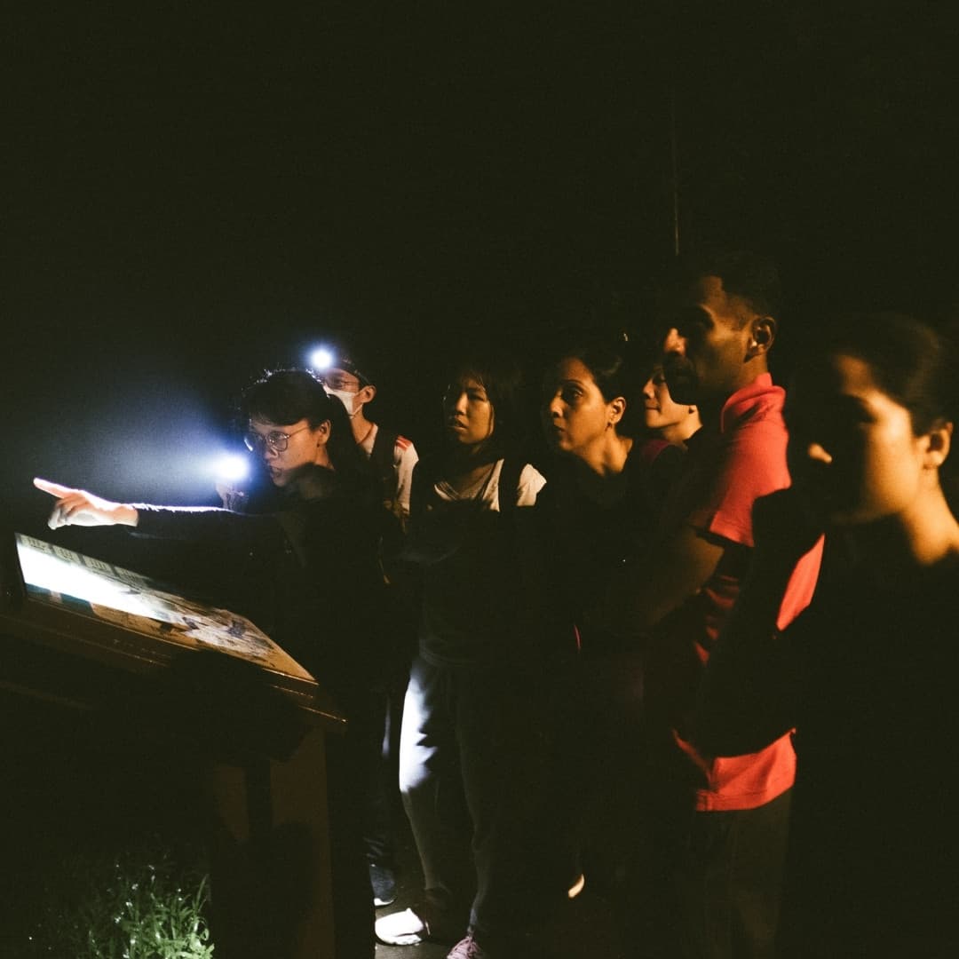 Forest Exploration for Two (Private Tour)